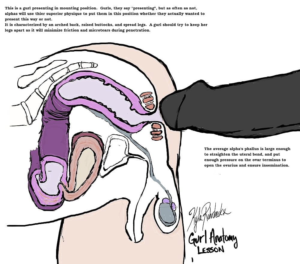 Anatomy of deepthroat