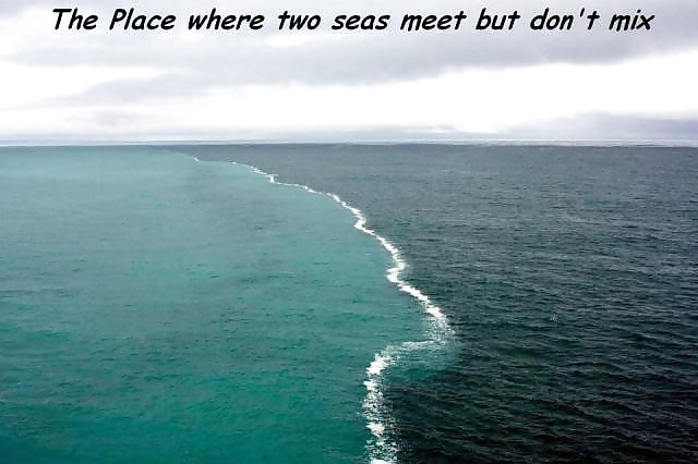 Girls and Diverses 5 pict gal