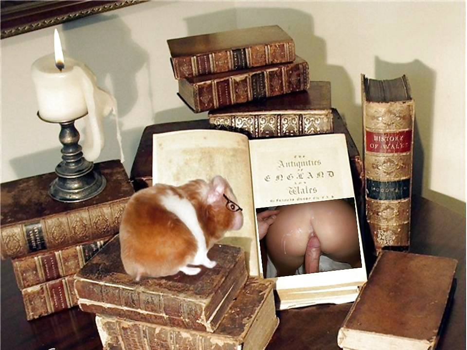Hamster-Fun pict gal