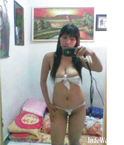 WILD ASIAN SLUTS III pict gal