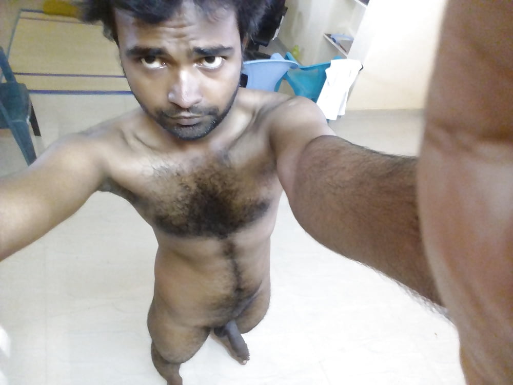 Asian hairy beaver rammed