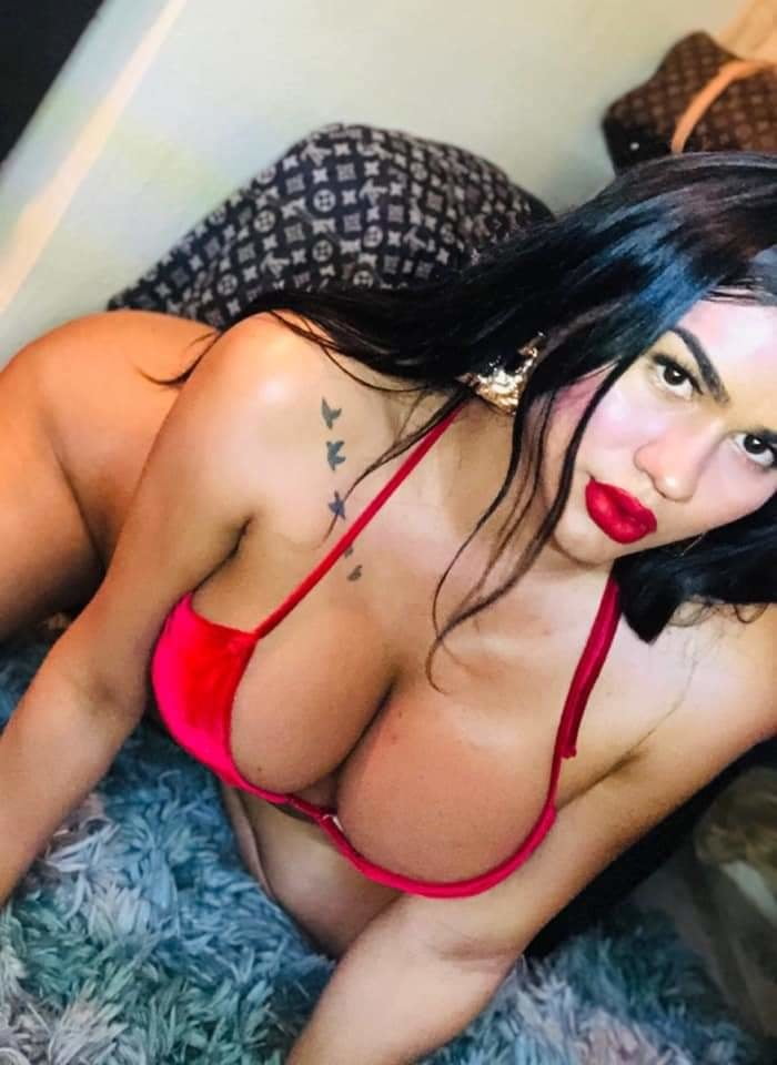 Mexico Tranny