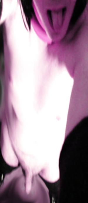 Maddalena 2016 pict gal