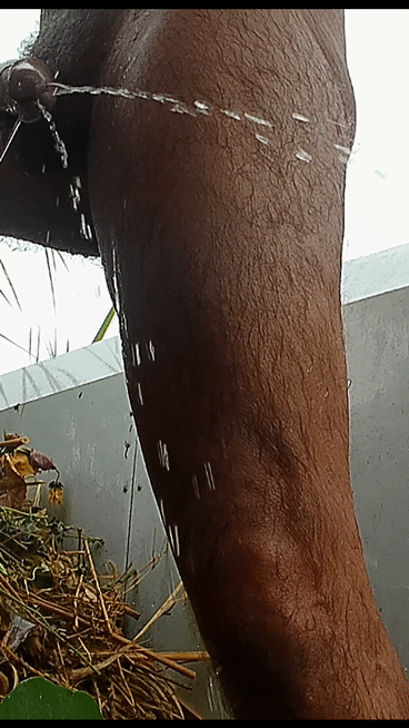 Musim panas si serigala super hot ini dientot habis-habisan di pinggir sungai