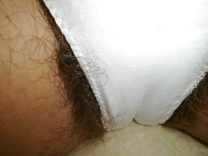 Hairy panties 2 - More hairy pussy overflowing pict gal