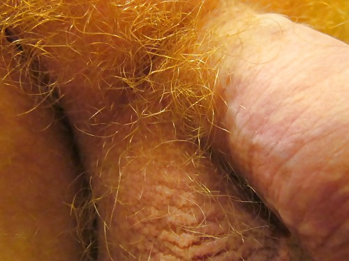 jjmontana close up shots of ginger body hair pict gal