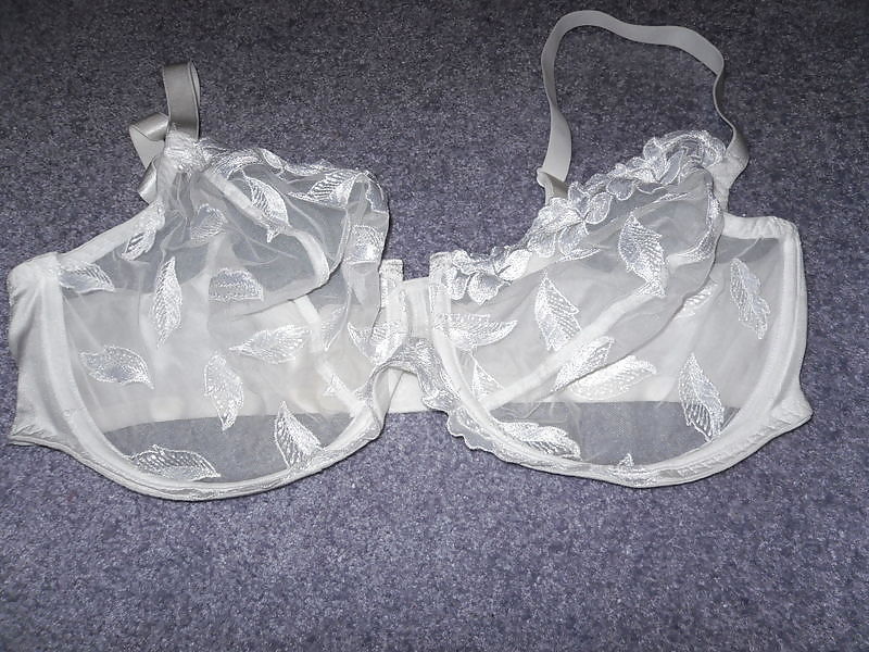 Nice big bras pict gal