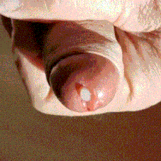 My Cock an Cumshots Gif-gallery  #8