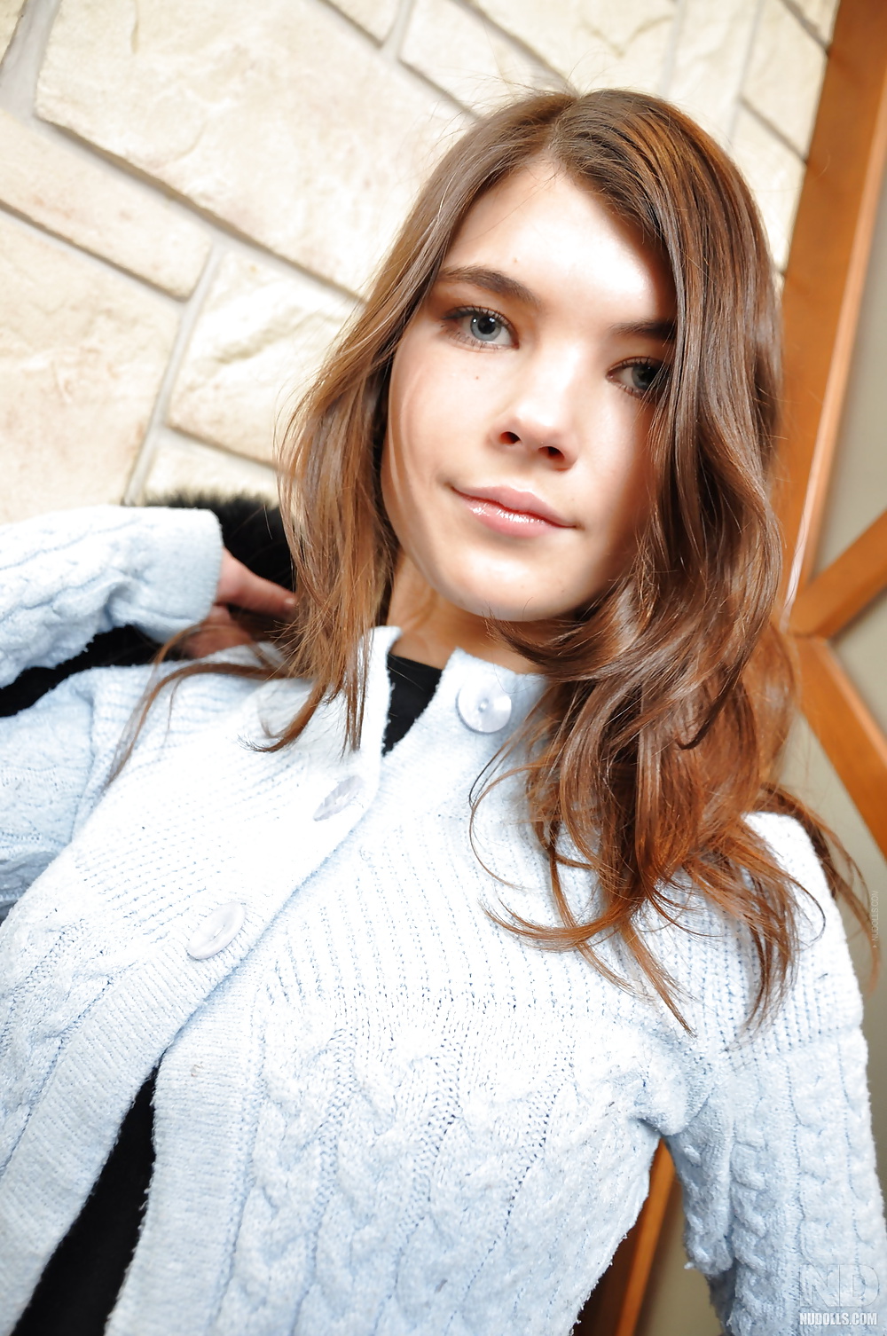 Wichsvorlagen 22 pict gal