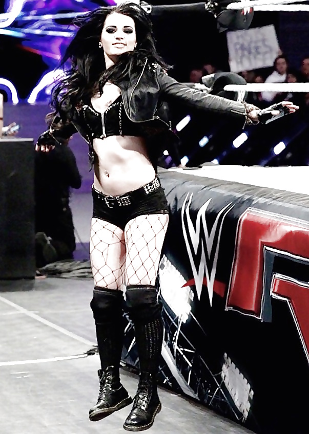 Wwe Paige Fakes