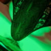 Nouvelle photos gratuite !