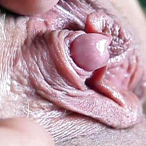 Amazing clits - N. C. pict gal