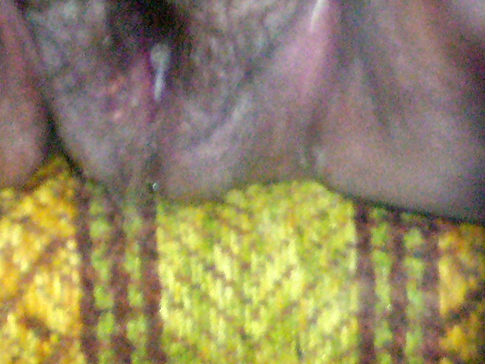 wet and ready for your cock pict gal