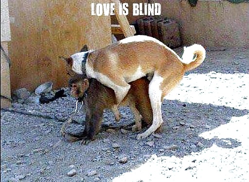 axxaaxxaxaxaxa funy ones pict gal