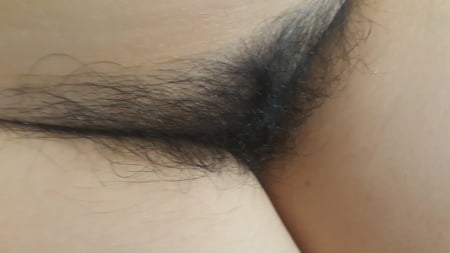 hairy pussy         