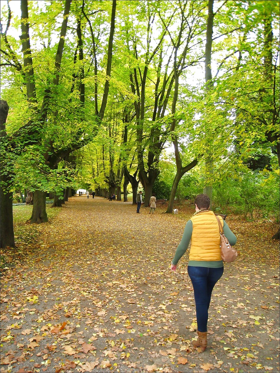 RENATA WASILEWSKA pict gal