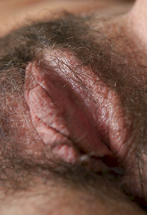 Hairy Pussy special pict gal