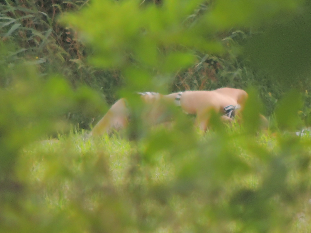 voyeur fotos nederland pict gal