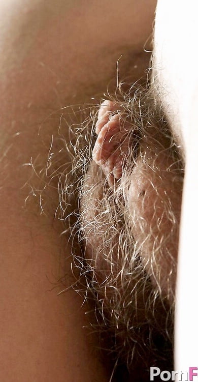 Very Hairy Amateurs 22 Pics Xhamster