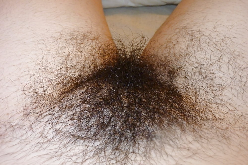 Sexy hairy girl pict gal