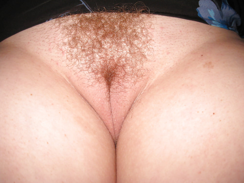 wife's hairy pussy pict gal