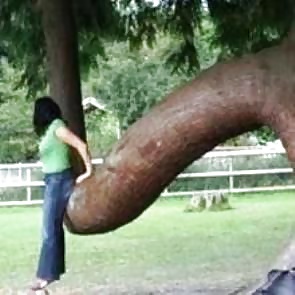 Funny Pics 6 pict gal