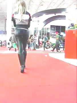 PitBabe Leggings Liquid pict gal