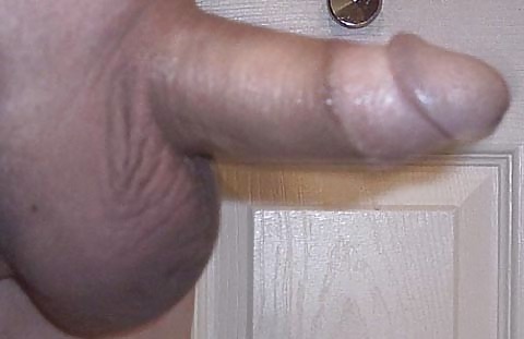 My Small Penis pict gal