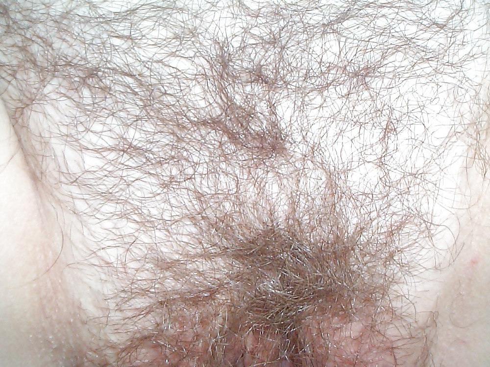 Hairy Pussy Fucked pict gal