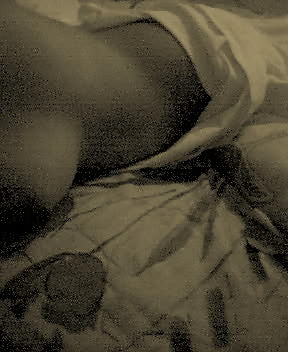 gata dela facu pict gal