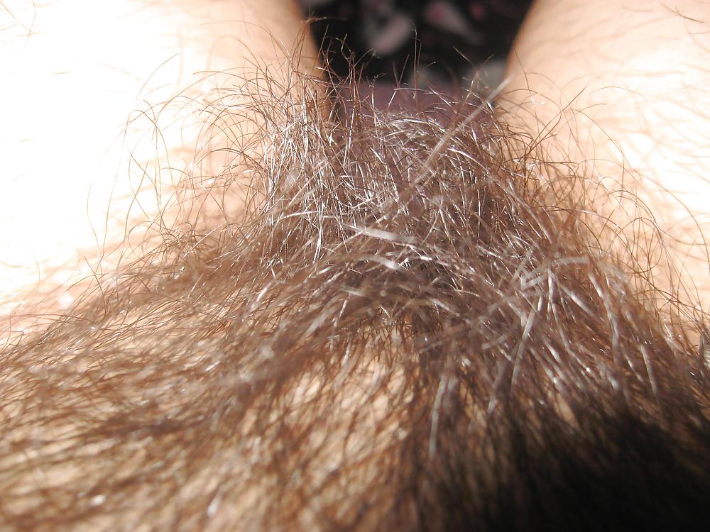 my collection 34 : hairy brunette pict gal