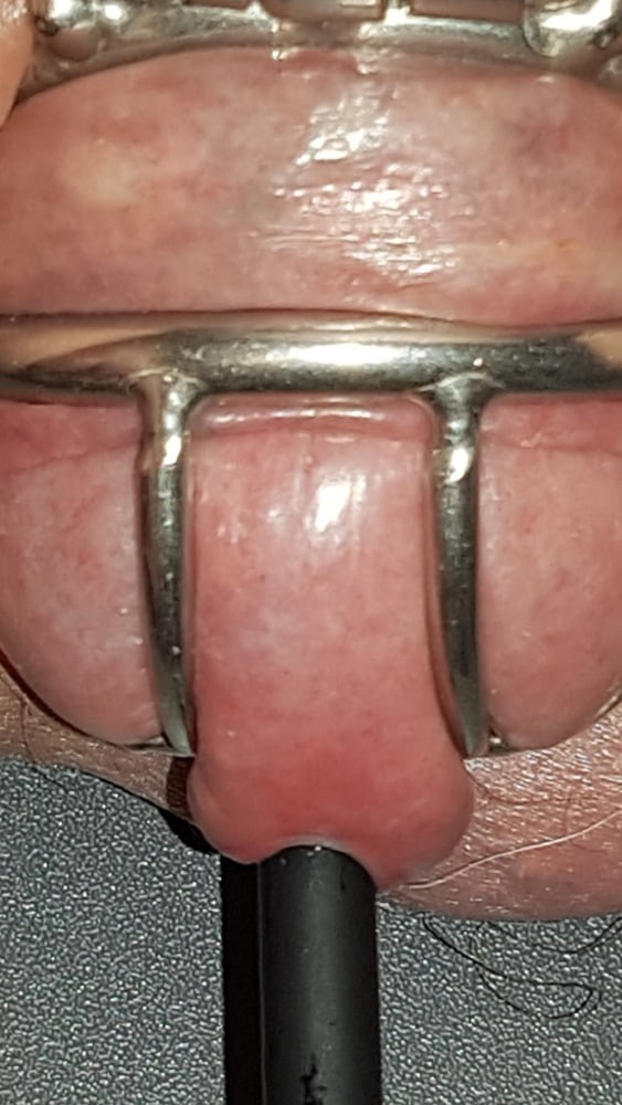 Urethral insertion - 80 Pics xHamster