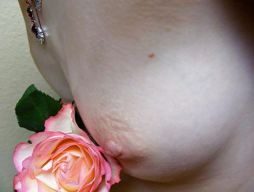 Erotic Art of Roses - Session 2 pict gal