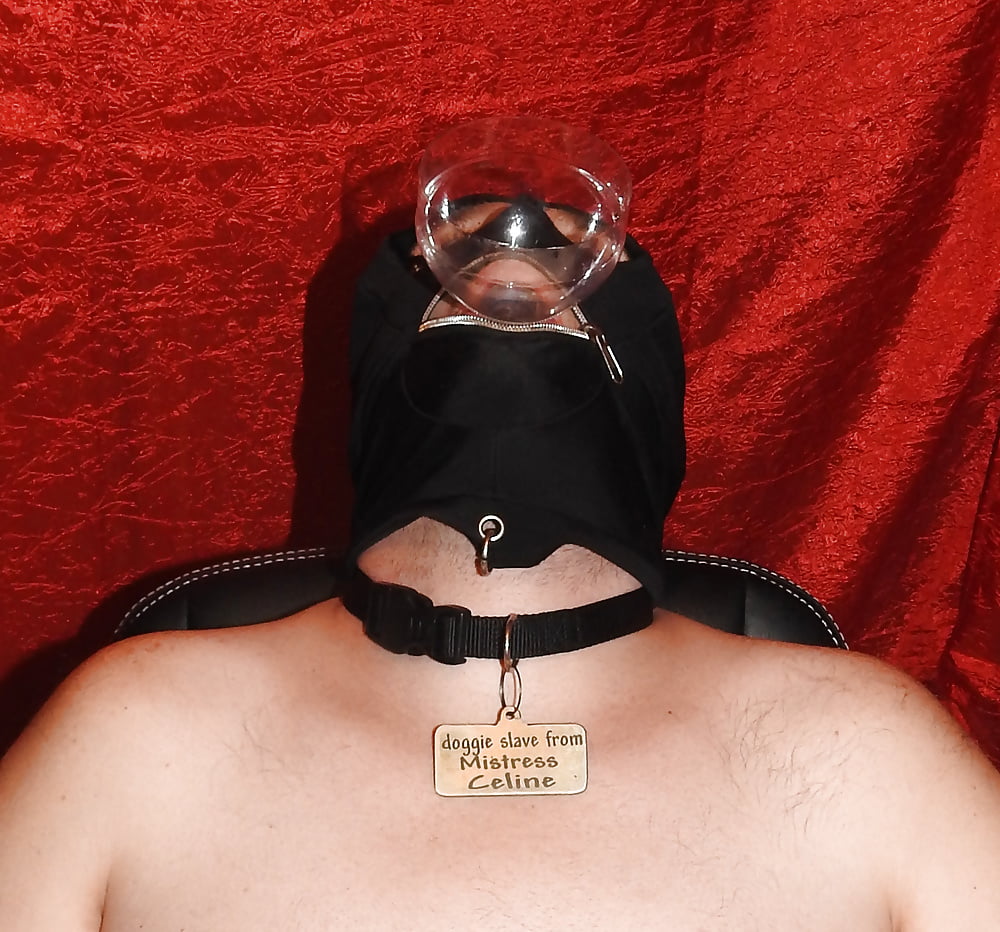 HumanAshtray 04-04-2017 pict gal