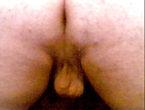 my cock pict gal