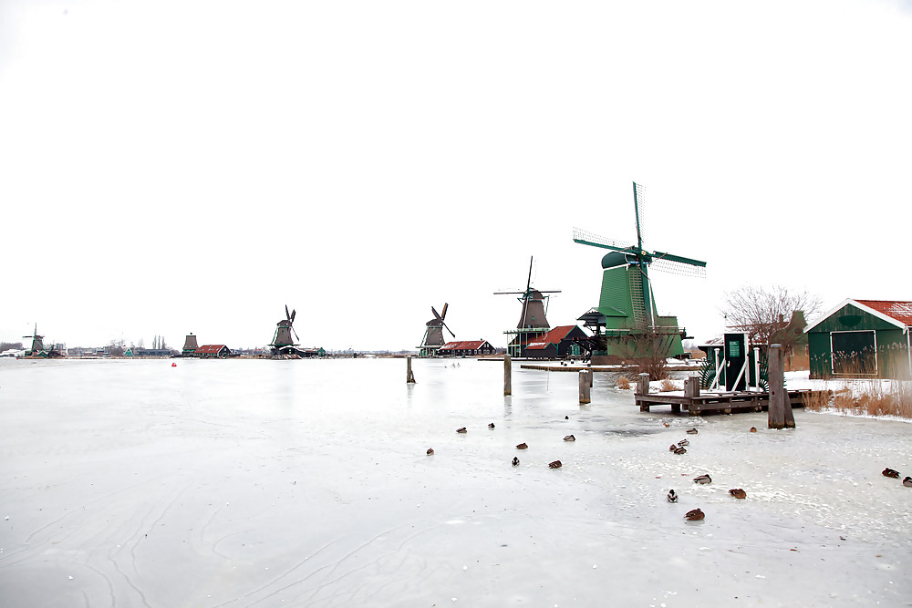 Julia,Elisa,Britt & Gylve on the Dutch Ice. pict gal