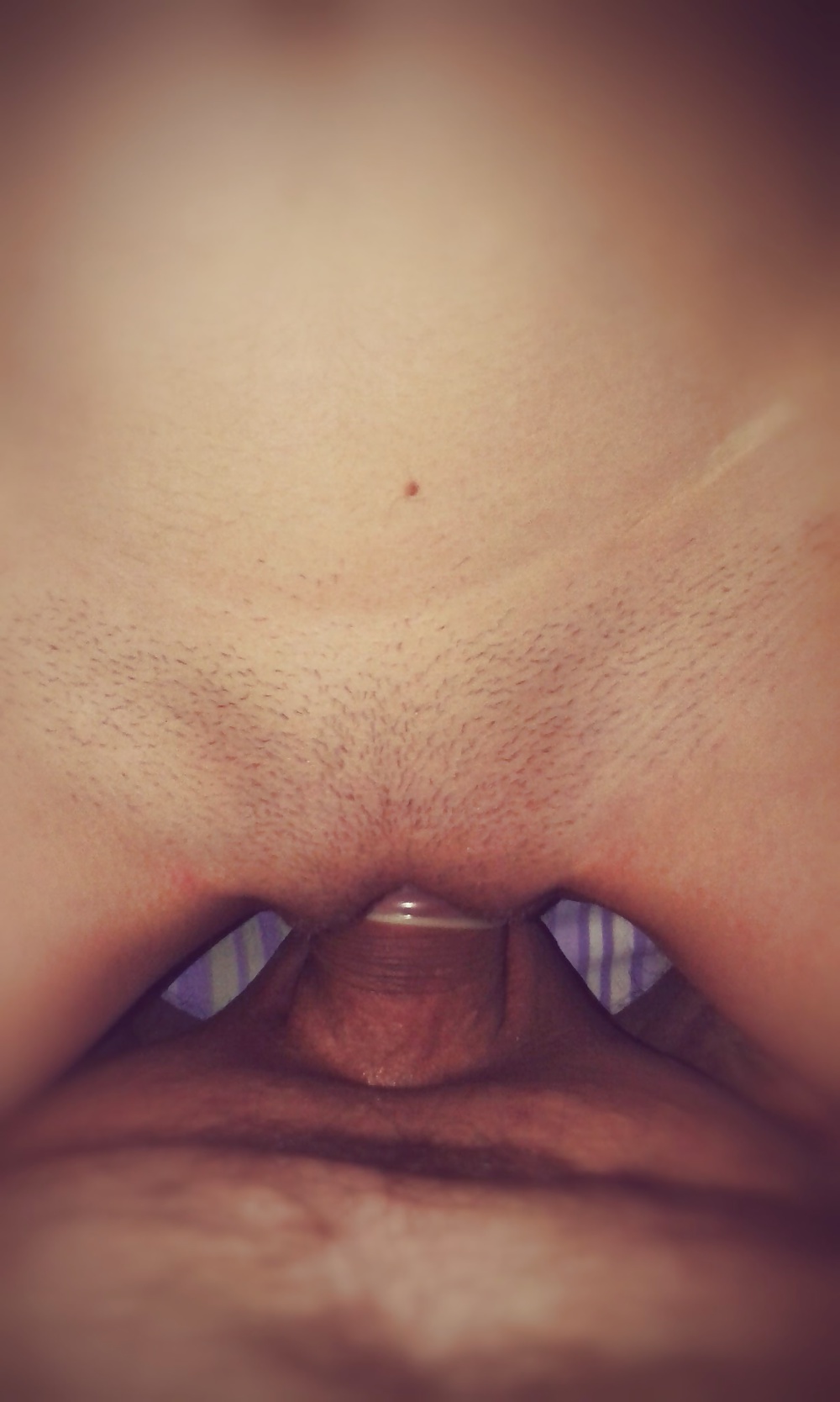 Geiler kleiner Fickarsch! pict gal