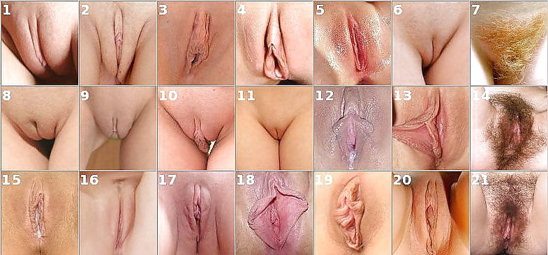 Different Types Of Vaginas Bush Porn.