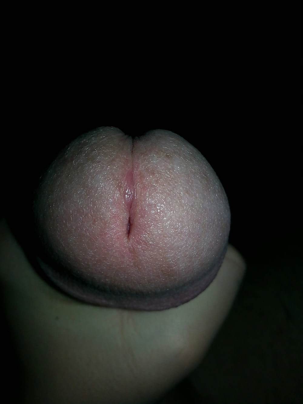 Piece Of Mind pict gal