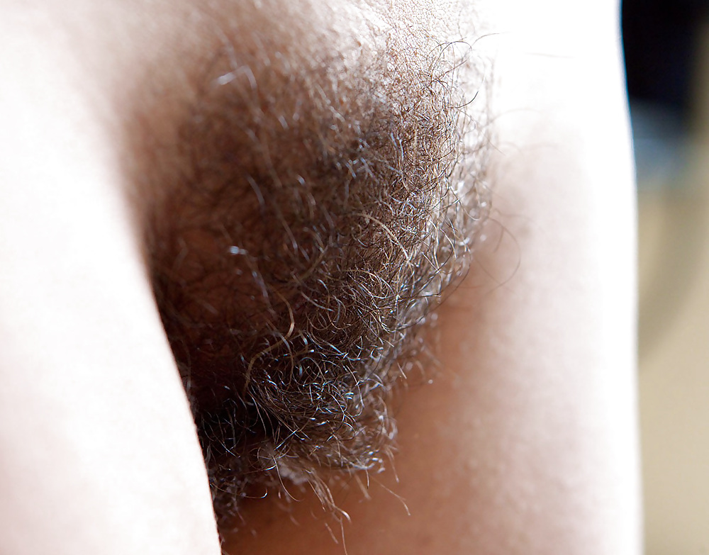 Hairy Pussy for Dessert pict gal