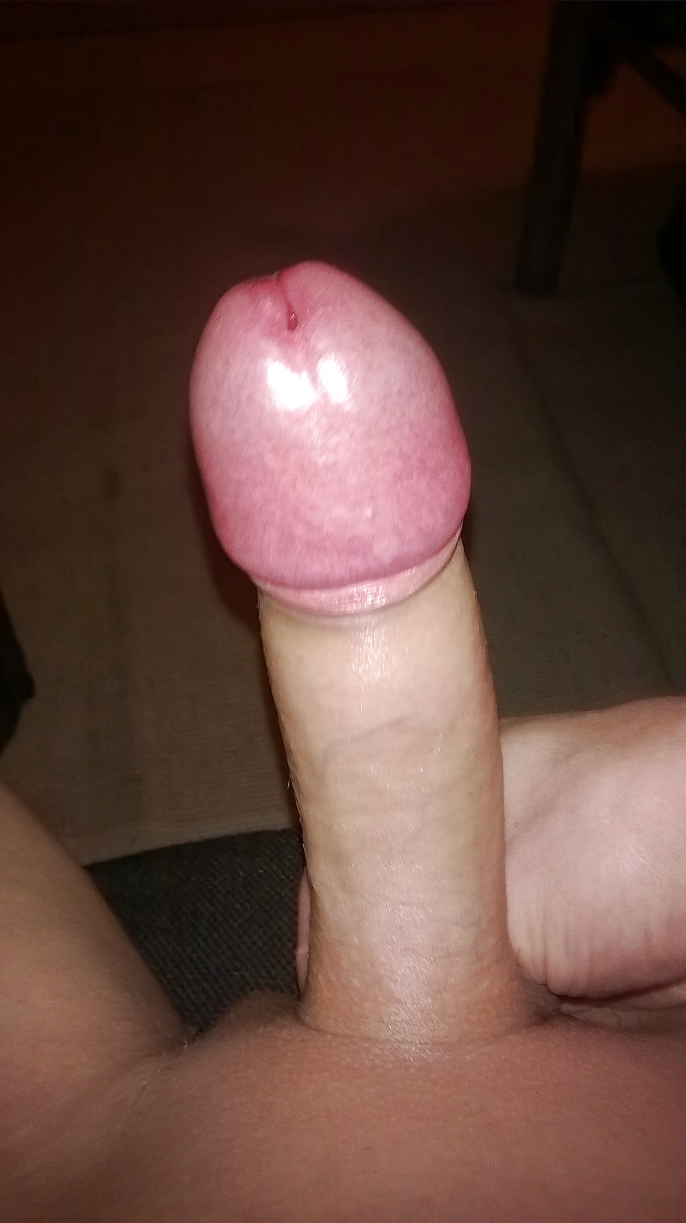 Freshly Shaved cock.. pict gal