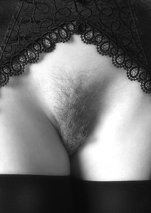 Hairy 11 pict gal