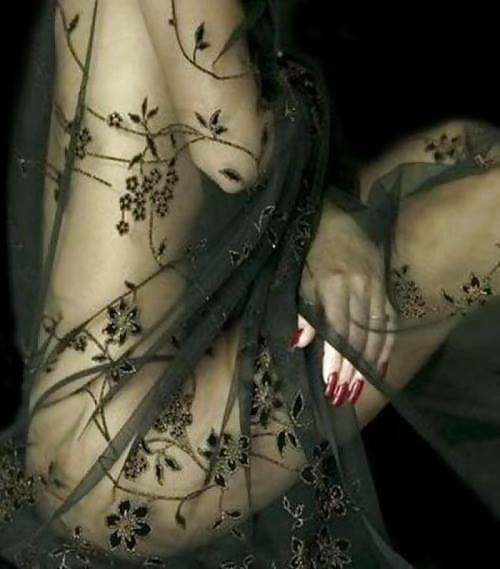Tout en transparence pict gal