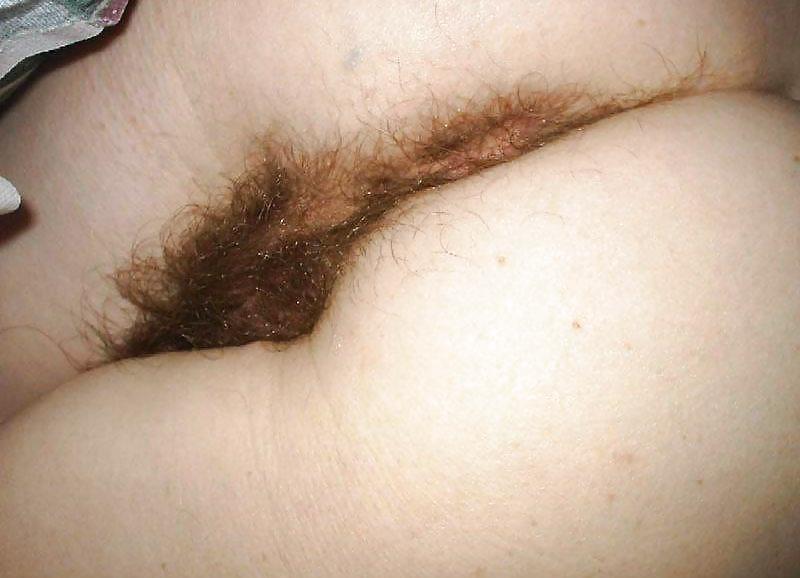 Hairy 16 pict gal