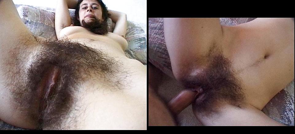 Hairy Cunts 3 pict gal