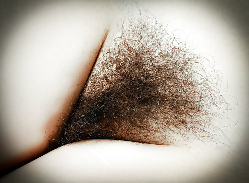 Hairy Pussy Amateur Pussy pict gal