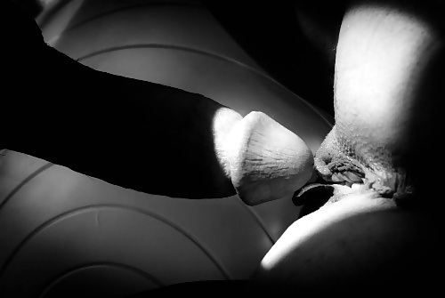 Beautiful pussies pict gal