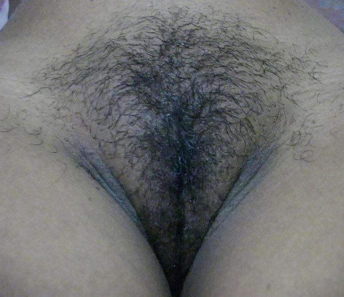 gf's natural hairy pussy pict gal