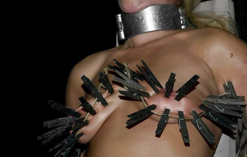 captive maidens pict gal