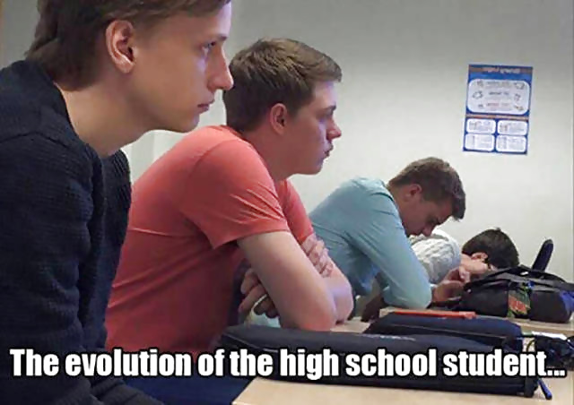 Girls and Diverses 87 pict gal